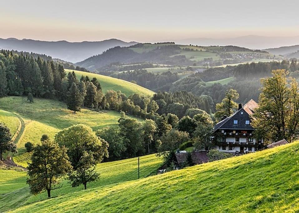 Ferienwohnung Lotti + Hochschwarzwald Card 蒂蒂湖-新城 外观 照片