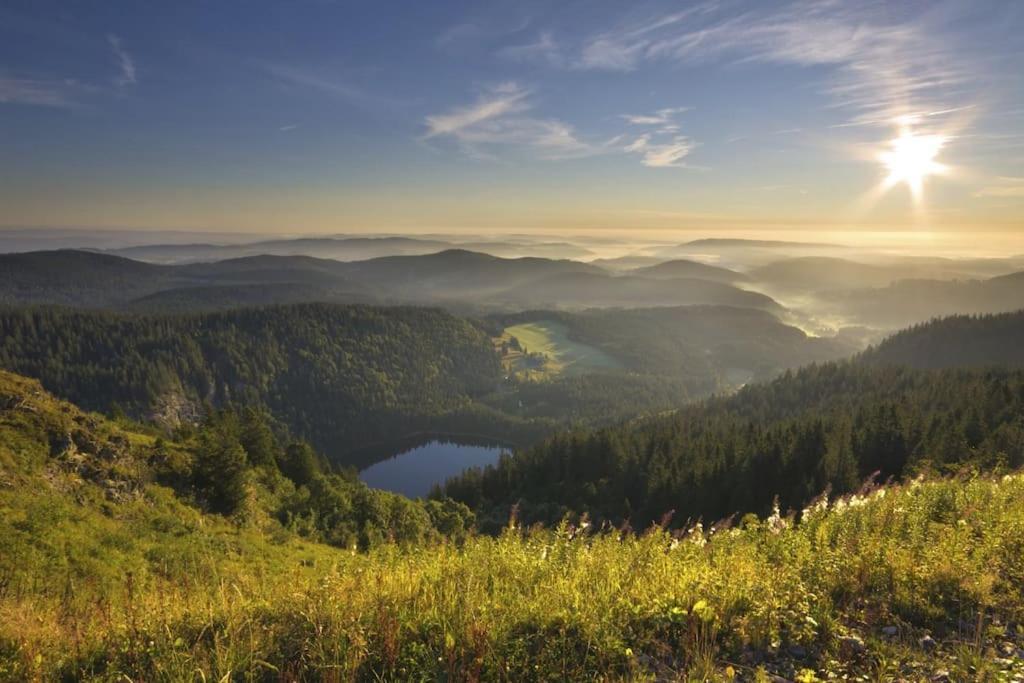 Ferienwohnung Lotti + Hochschwarzwald Card 蒂蒂湖-新城 外观 照片