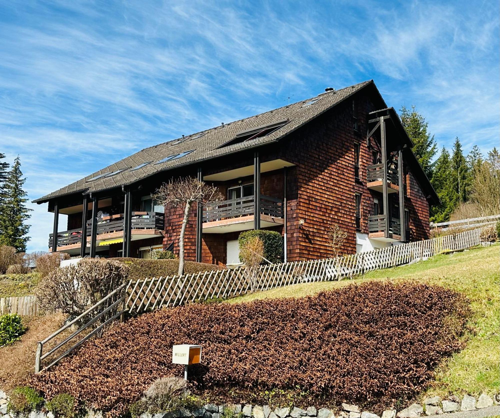 Ferienwohnung Lotti + Hochschwarzwald Card 蒂蒂湖-新城 外观 照片